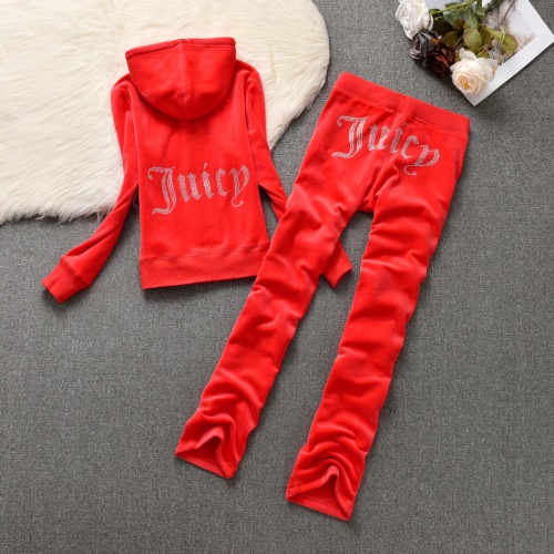 Juicy Couture Tracksuits Long Sleeved For Women #944151