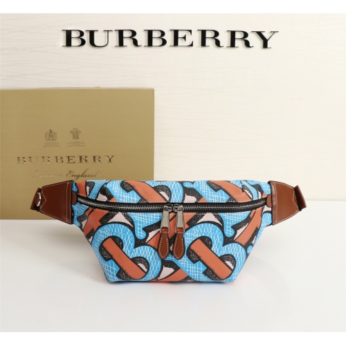 Burberry AAA Quality Belt Bags #998968