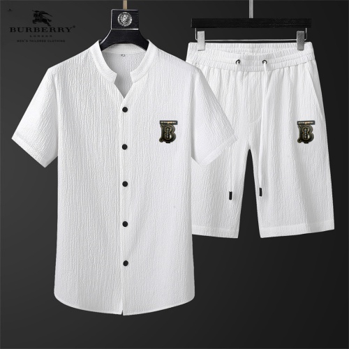 Burberry Tracksuits Short Sleeved For Men #1199180