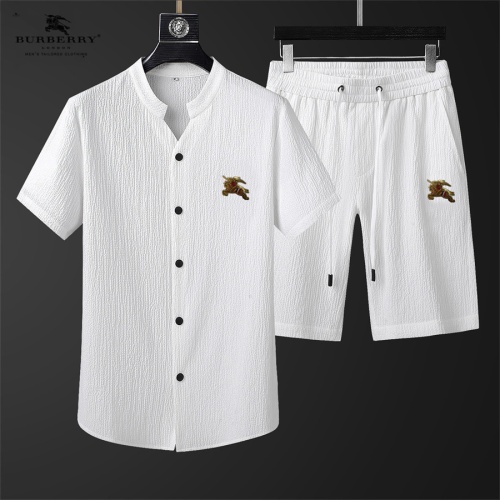 Burberry Tracksuits Short Sleeved For Men #1199191