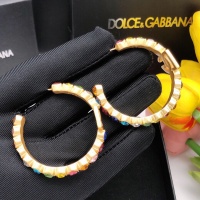 $32.00 USD Dolce & Gabbana D&G Earrings For Women #1223826