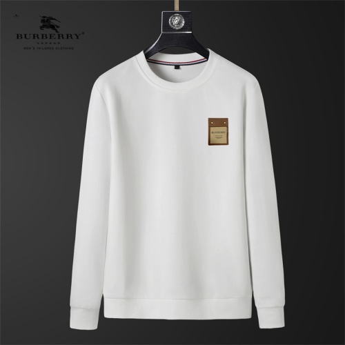 Burberry Hoodies Long Sleeved For Men #1240495