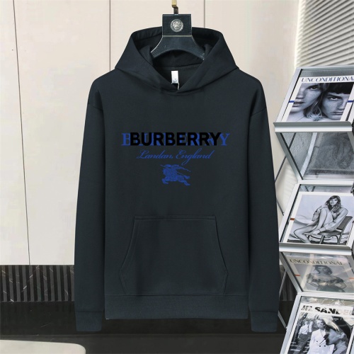 Burberry Hoodies Long Sleeved For Men #1240824