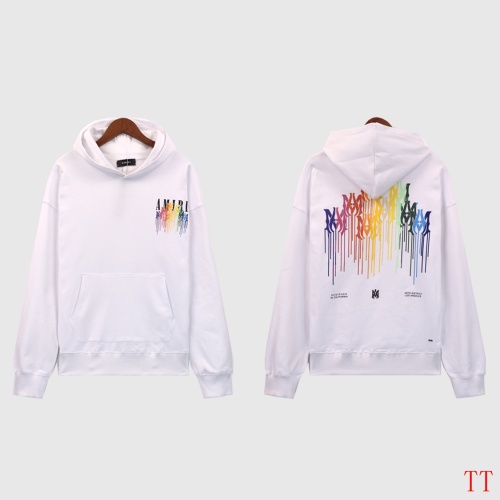 Amiri Hoodies Long Sleeved For Unisex #1241114