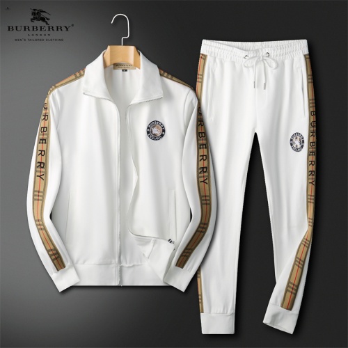 Burberry Tracksuits Long Sleeved For Men #1241489