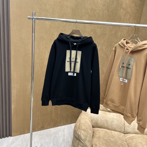 Burberry Hoodies Long Sleeved For Unisex #1243843