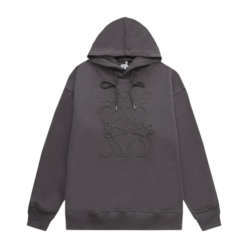 LOEWE Hoodies Long Sleeved For Unisex #1244769