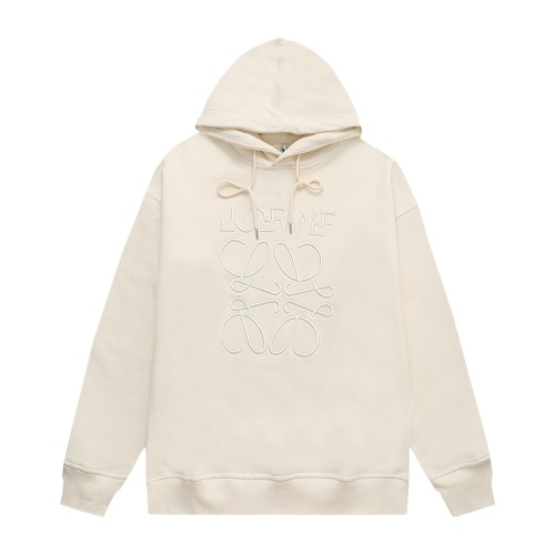 LOEWE Hoodies Long Sleeved For Unisex #1244771