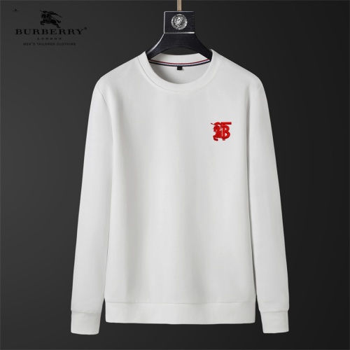 Burberry Hoodies Long Sleeved For Men #1246060