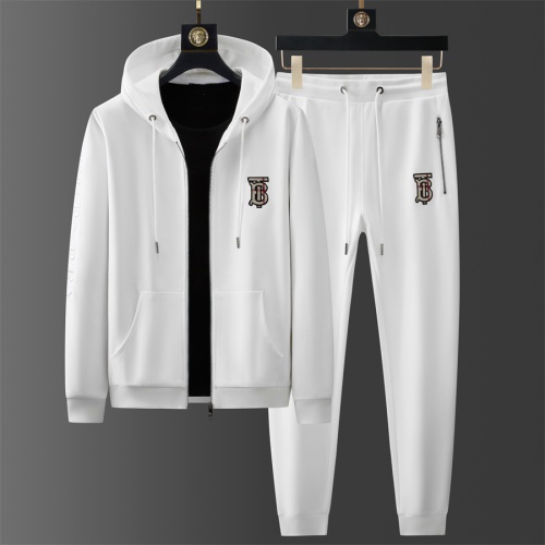 Burberry Tracksuits Long Sleeved For Men #1246406