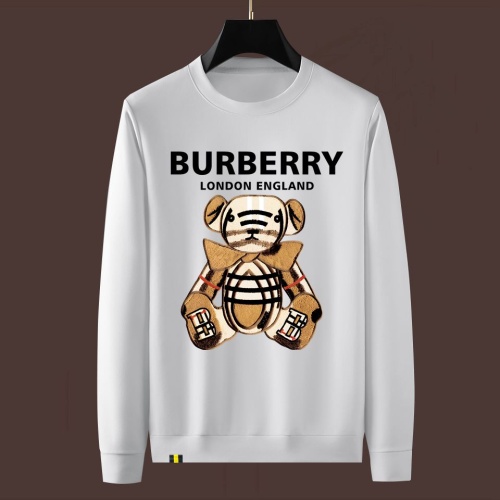 Burberry Hoodies Long Sleeved For Men #1246592