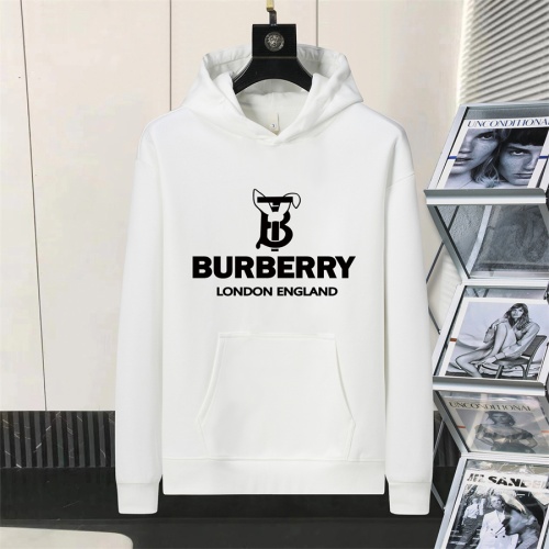 Burberry Hoodies Long Sleeved For Men #1246677