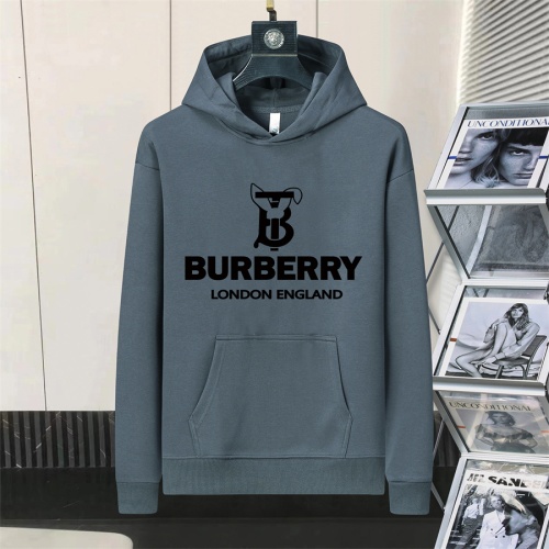 Burberry Hoodies Long Sleeved For Men #1246679