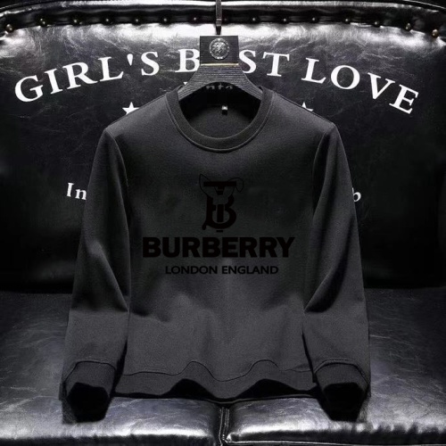 Burberry Hoodies Long Sleeved For Men #1251088