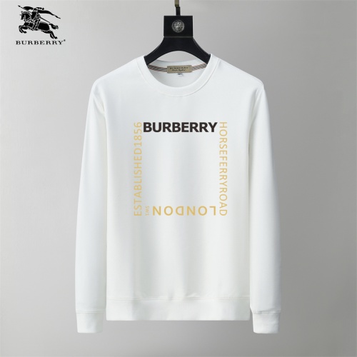 Burberry Hoodies Long Sleeved For Men #1254332