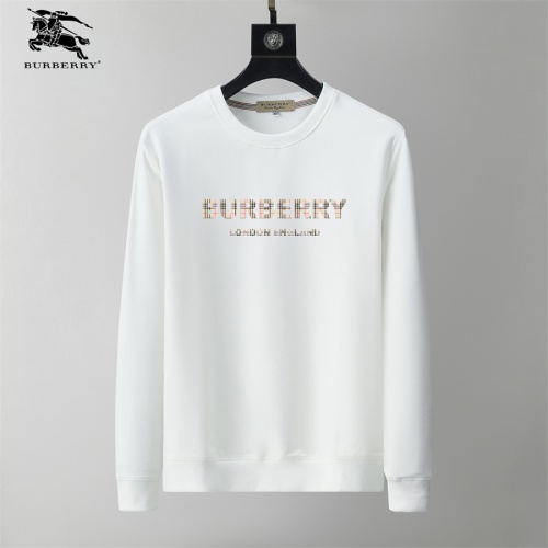 Burberry Hoodies Long Sleeved For Men #1254334