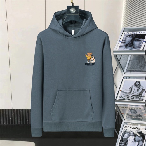 Burberry Hoodies Long Sleeved For Men #1254724