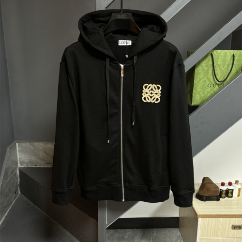 LOEWE Hoodies Long Sleeved For Unisex #1255192