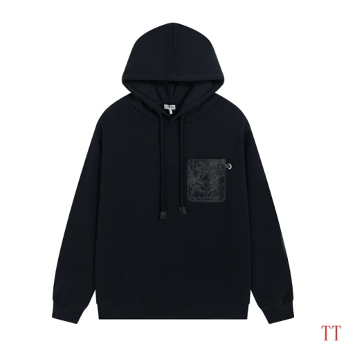 LOEWE Hoodies Long Sleeved For Unisex #1259373