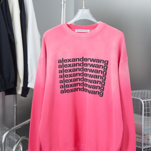 Alexander Wang Hoodies Long Sleeved For Unisex #1262070