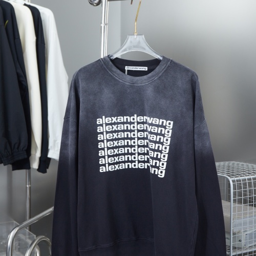 Alexander Wang Hoodies Long Sleeved For Unisex #1262073