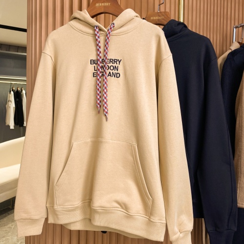 Burberry Hoodies Long Sleeved For Unisex #1262199