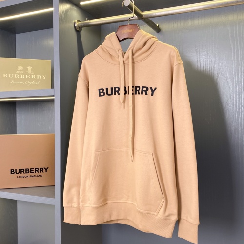 Burberry Hoodies Long Sleeved For Unisex #1262203