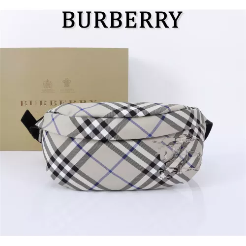 Burberry AAA Quality Belt Bags #1273380