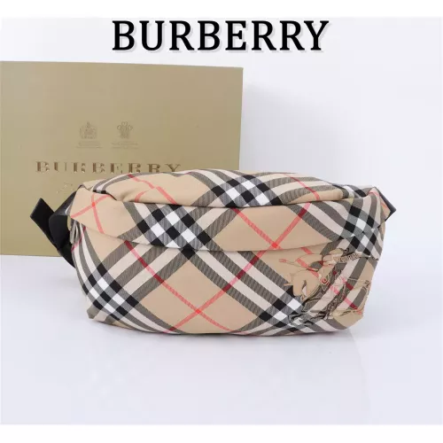 Burberry AAA Quality Belt Bags #1273381