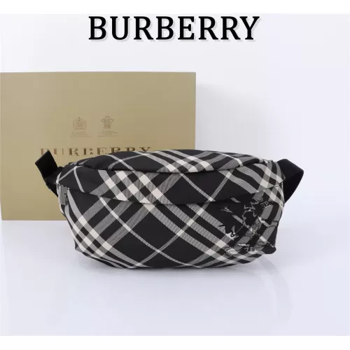 Burberry AAA Quality Belt Bags #1273383