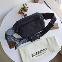 $115.00 USD Burberry AAA Quality Belt Bags For Unisex #1275929