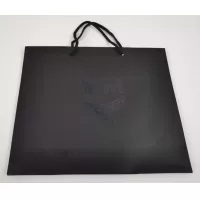 $5.00 USD Brand Gift Shopping Bag #1287271