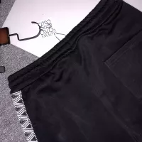 $48.00 USD LOEWE Pants For Unisex #1316610