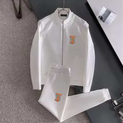 Burberry Tracksuits Long Sleeved For Men #1322898