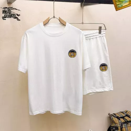 Burberry Tracksuits Short Sleeved For Men #1334694