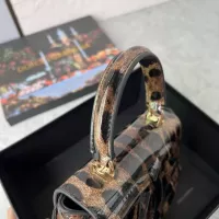 $170.00 USD Dolce & Gabbana AAA Quality Handbags For Women #1333008