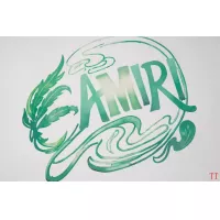 $32.00 USD Amiri T-Shirts Short Sleeved For Unisex #1335418