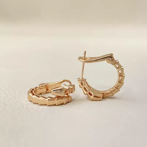 Bvlgari Earrings For Women #1344614