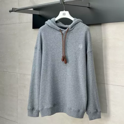 LOEWE Hoodies Long Sleeved For Unisex #1350223