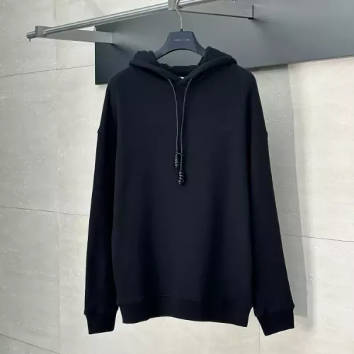 LOEWE Hoodies Long Sleeved For Unisex #1350224
