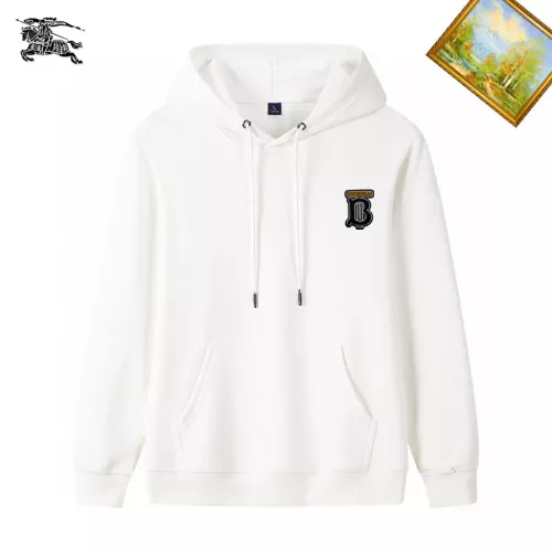 Burberry Hoodies Long Sleeved For Men #1353395