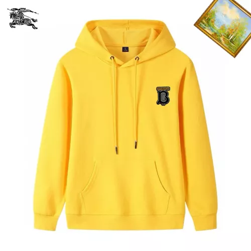Burberry Hoodies Long Sleeved For Men #1353407