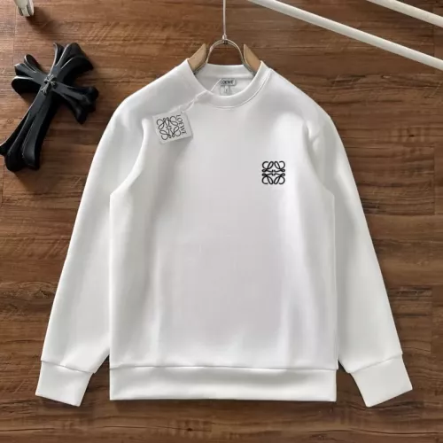 LOEWE Hoodies Long Sleeved For Unisex #1362447