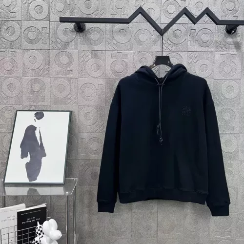 LOEWE Hoodies Long Sleeved For Unisex #1362543