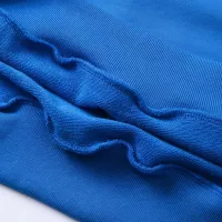 $68.00 USD Balenciaga Hoodies Long Sleeved For Unisex #1362331