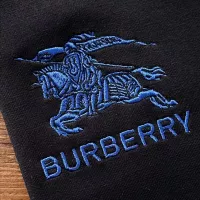 $76.00 USD Burberry Hoodies Long Sleeved For Unisex #1362393