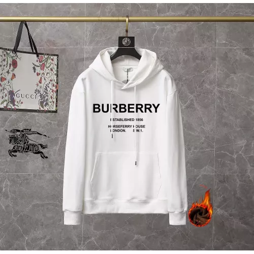 Burberry Hoodies Long Sleeved For Men #1369442