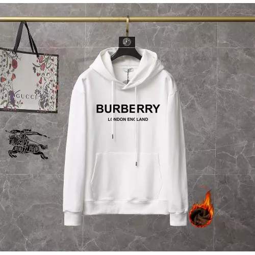 Burberry Hoodies Long Sleeved For Men #1369466
