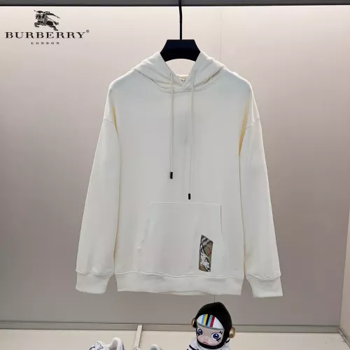 Burberry Hoodies Long Sleeved For Unisex #1369973