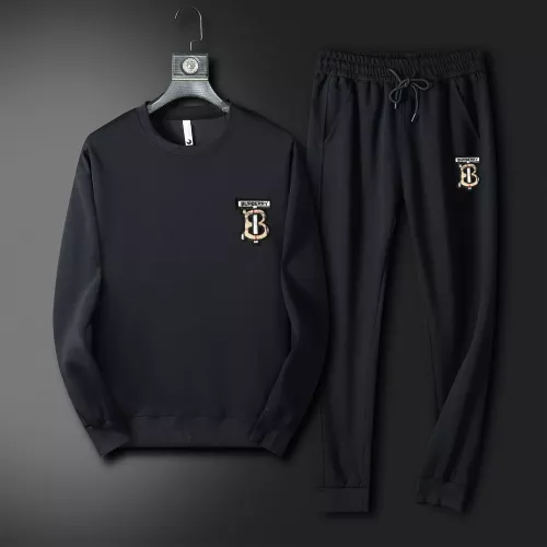 Burberry Tracksuits Long Sleeved For Men #1370156